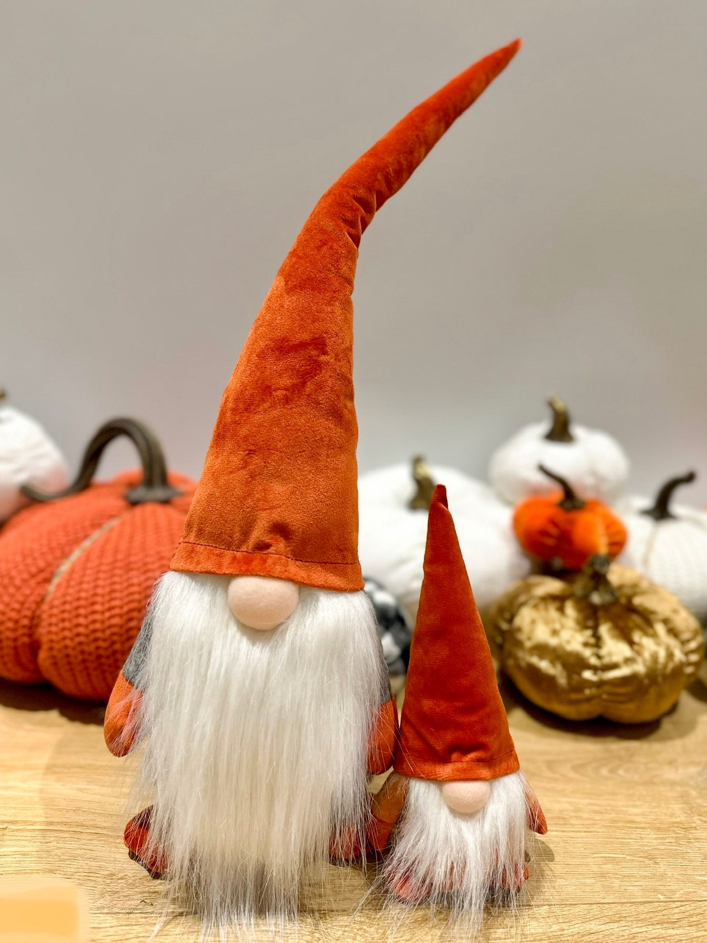 Fall Gnome Set